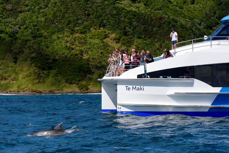 From Paihia: Full-Day Bay of Islands Cruise - Food, drinks, and the practical cost