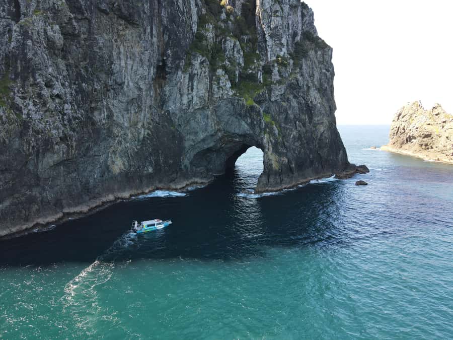 From Paihia: Hole in the Rock Cruise & Island Tour: 3 Hour - Check in at Paihia Wharf