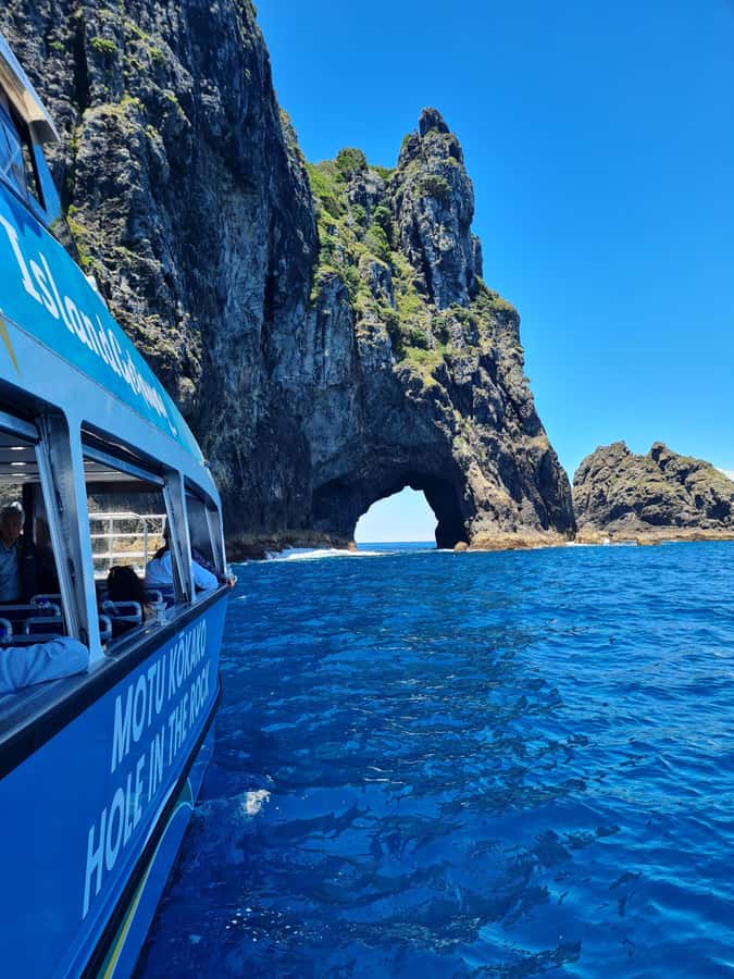 From Paihia: Hole in the Rock Cruise & Island Tour: 3 Hour - Cruising among 144 islands