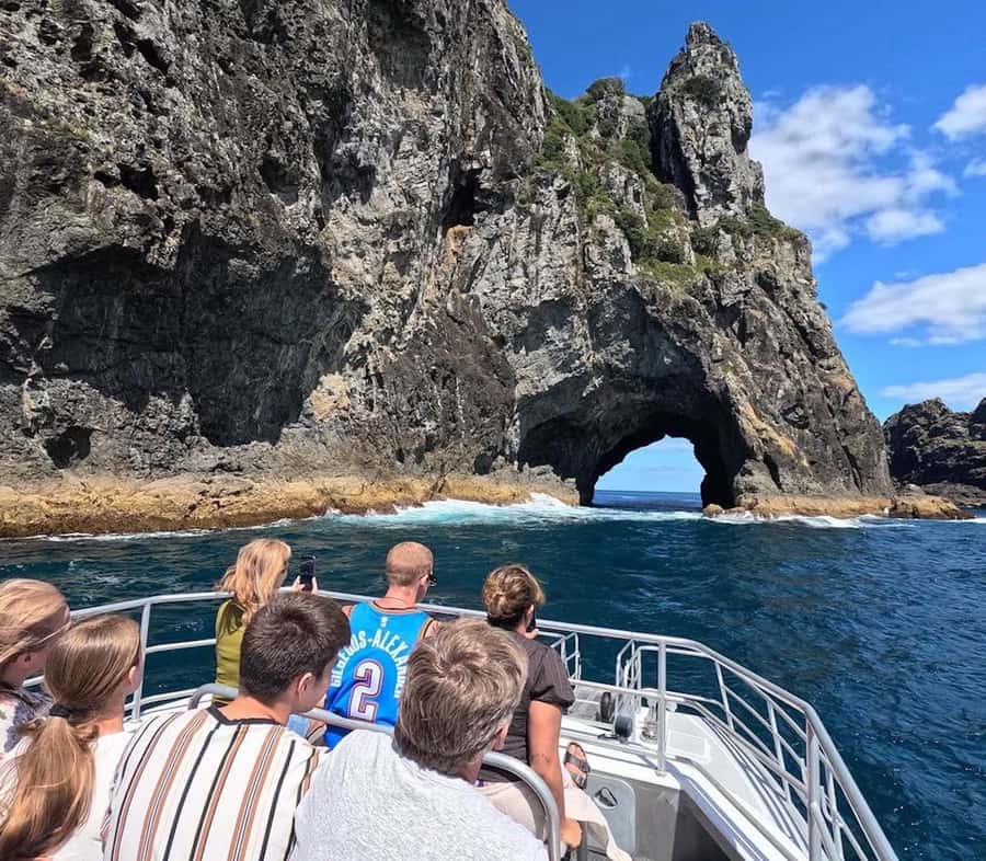 From Paihia: Scenic Cruise with Roberton Island Stopover - Key points to know before booking