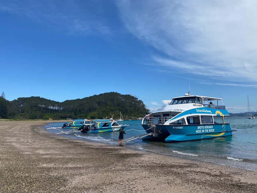 From Paihia: Scenic Cruise with Roberton Island Stopover - Who should book this cruise?