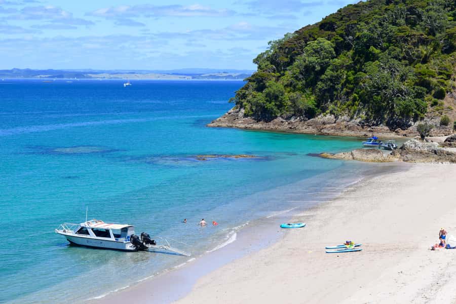 From Paihia: Scenic Cruise with Roberton Island Stopover - Roberton Island and the Twin Lagoons lookout