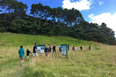 Scenic Cruise with Roberton Island Stopover