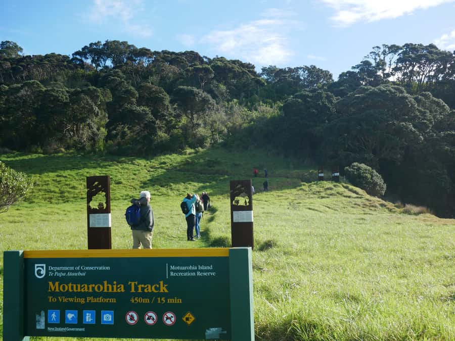 From Paihia: Scenic Cruise with Roberton Island Stopover - Cruising toward Cape Brett Lighthouse