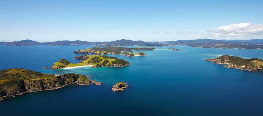 From Paihia: Scenic Cruise with Roberton Island Stopover - The Hole in the Rock at Motukokako Island
