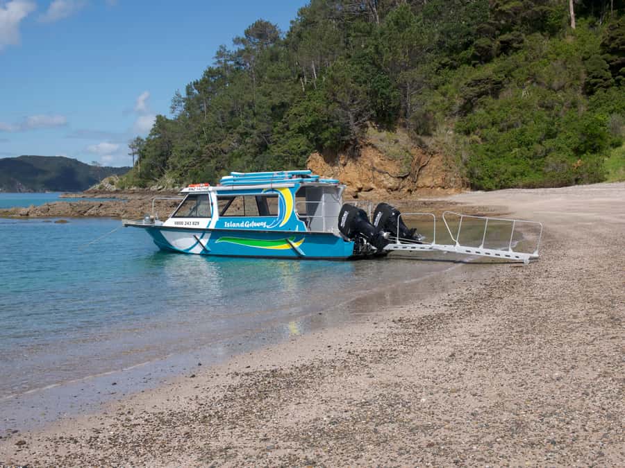 From Paihia: Scenic Cruise with Roberton Island Stopover - Is $78 good value for three hours?