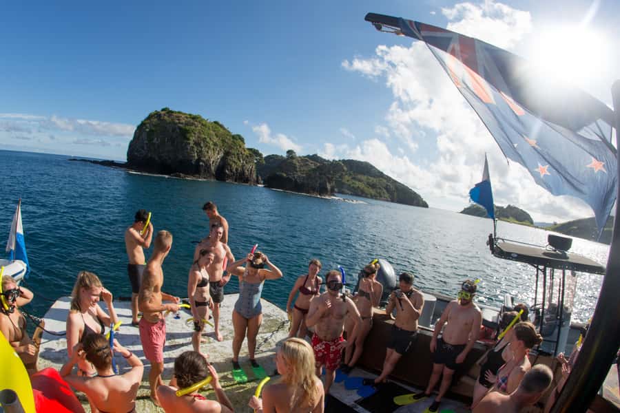 From Paihia: The Rock Adventure Overnight Cruise - Night kayaking, stars, and phosphorescent water