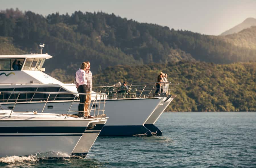 From Picton: Marlborough Sounds Cruise with Seafood - Practical tips for a better day on the water