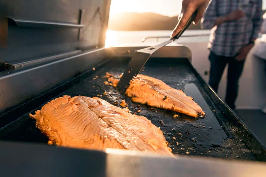 From Picton: Marlborough Sounds Cruise with Seafood - Should you book the Marlborough Sounds seafood cruise?