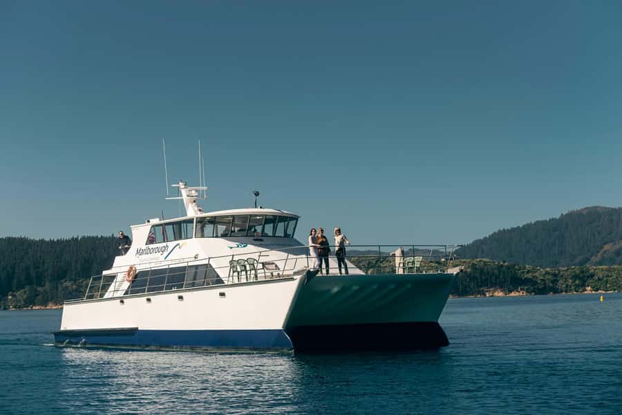 From Picton: Marlborough Sounds Cruise with Seafood - Why Queen Charlotte Sound is worth seeing by boat