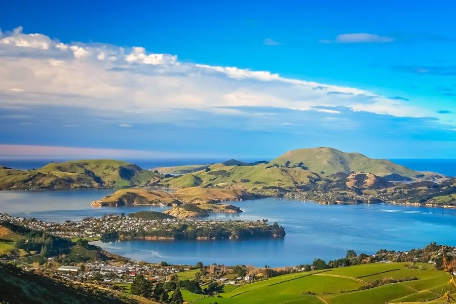 From Port Chalmers: Small Group Castle, Coast & City Tour - FAQ