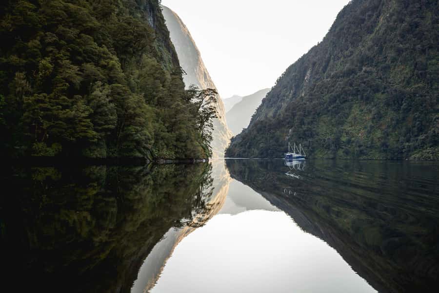 From Queenstown: Doubtful Sound Wilderness Day Trip - Is $277 good value?