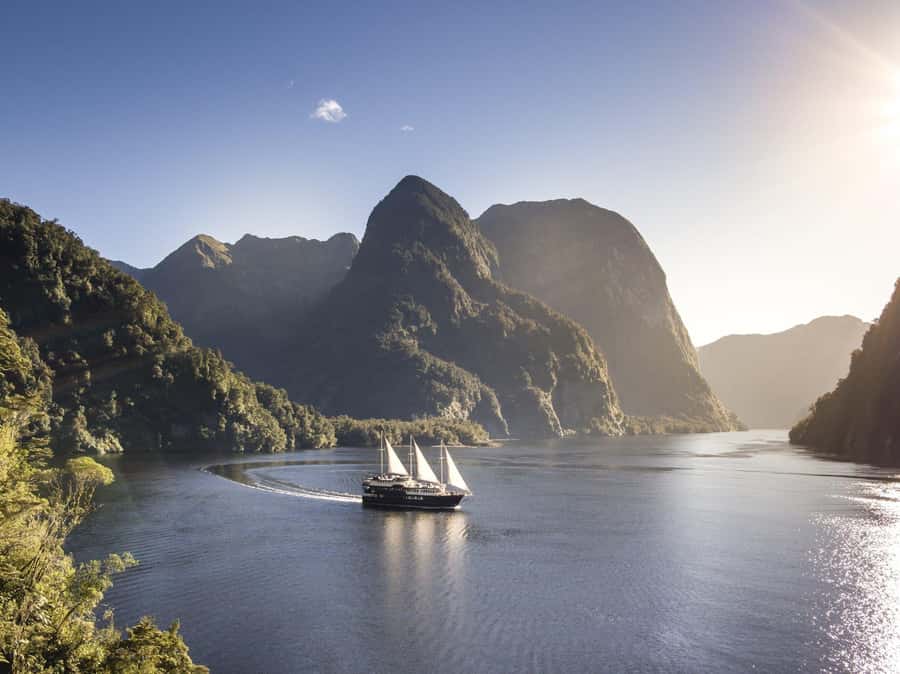 From Queenstown: Doubtful Sound Wilderness Day Trip - Wilmot Pass, where rainforest takes over