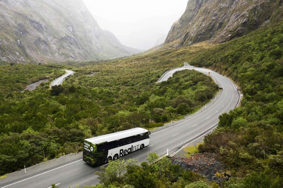 From Queenstown: Milford Sound Cruise and Coach Day Trip - Te Anau and the first useful break