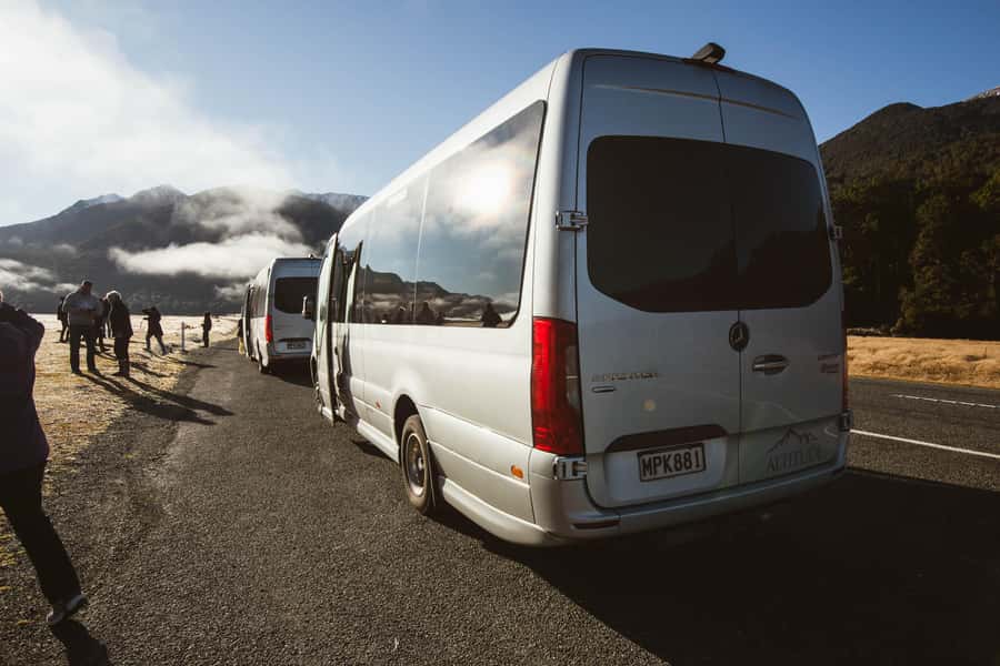 From Queenstown: Milford Sound Cruise and Scenic Drive - Food, comfort, and the small practical catches