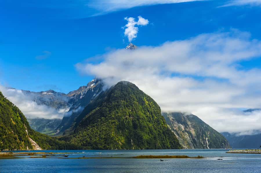 From Queenstown: Milford Sound Cruise & Scenic Coach Tour - Te Anau, Christie Falls, and the Upper Hollyford Valley