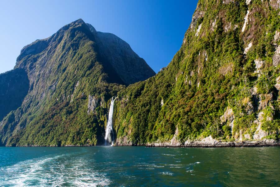From Queenstown: Milford Sound Cruise & Scenic Coach Tour - Food, comfort, and small practical matters