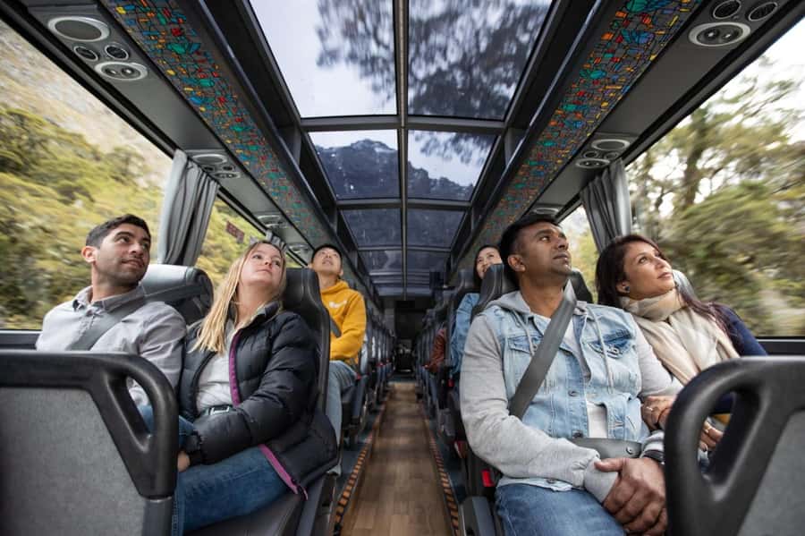 From Queenstown: Milford Sound Cruise & Scenic Coach Tour - Who should book this Milford Sound tour