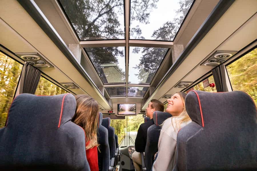 From Queenstown: Milford Sound Day Trip on Premium Coach - Queenstown to Milford Sound by premium coach