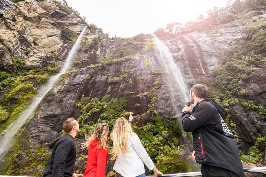 From Queenstown: Milford Sound Day Trip on Premium Coach - Mirror Lakes reward a quick, calm walk