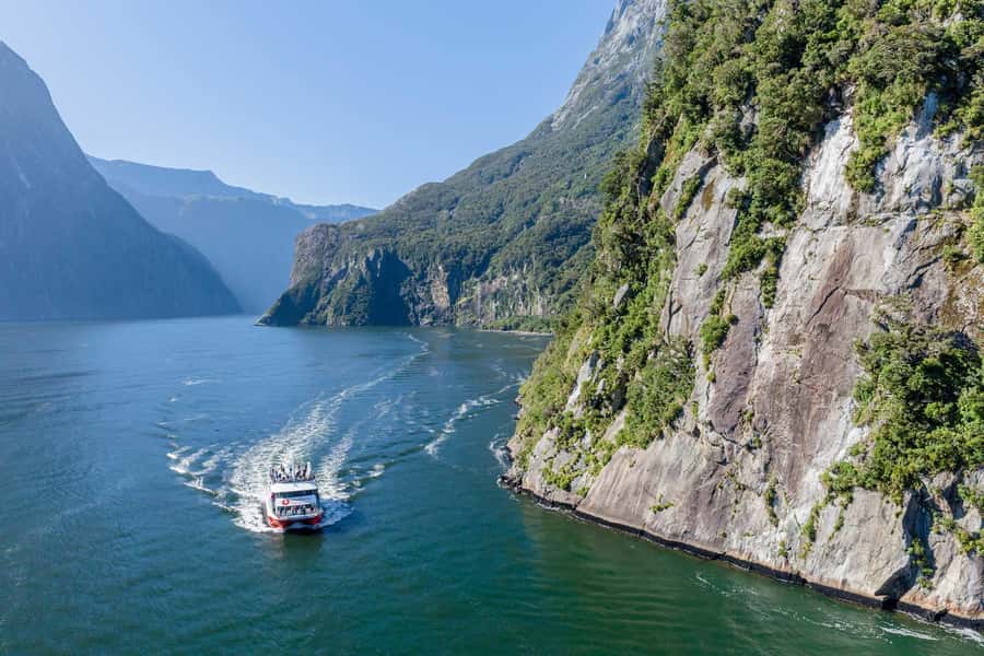 From Queenstown: Milford Sound Day Trip on Premium Coach - What the $170 price really buys you