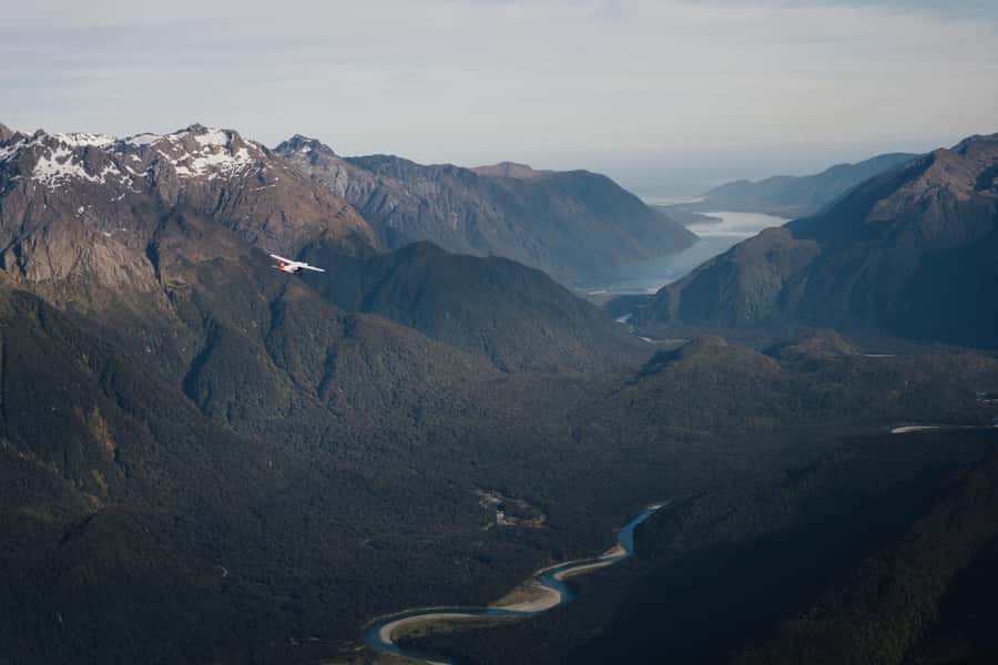 From Queenstown: Milford Sound Full-Day Trip by Plane & Boat - Seals, dolphins, and the chance of a penguin