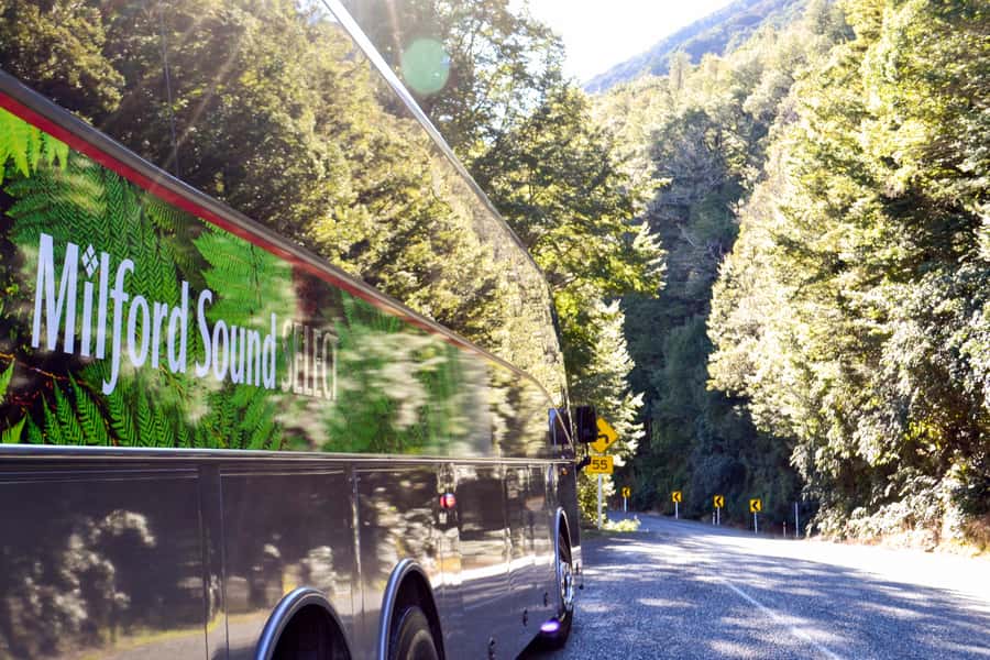 From Queenstown: Milford Sound Premium Day Tour and Cruise - Key points at a glance