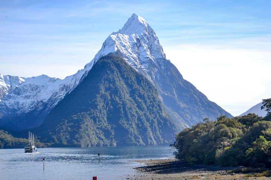 From Queenstown: Milford Sound Premium Day Tour and Cruise - Mirror Lakes and the rainforest boardwalk
