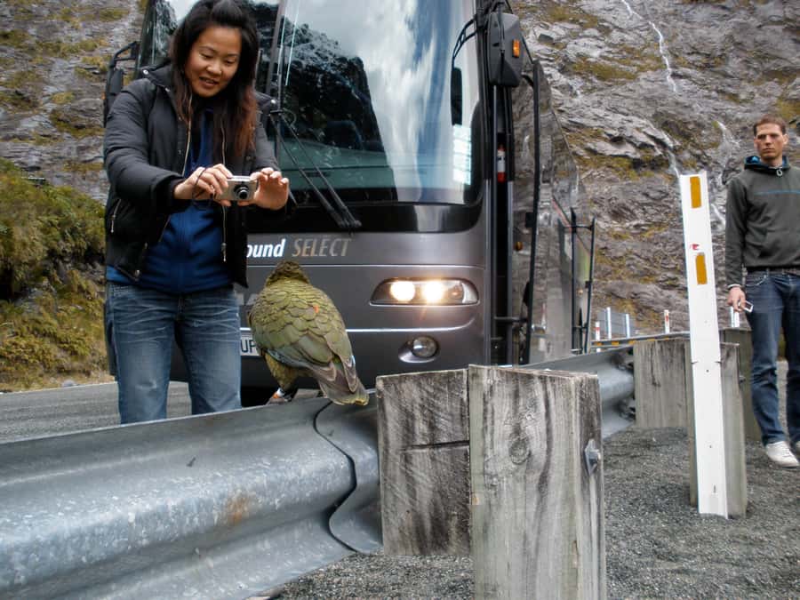 From Queenstown: Milford Sound Premium Day Tour and Cruise - The final approach to Milford Sound