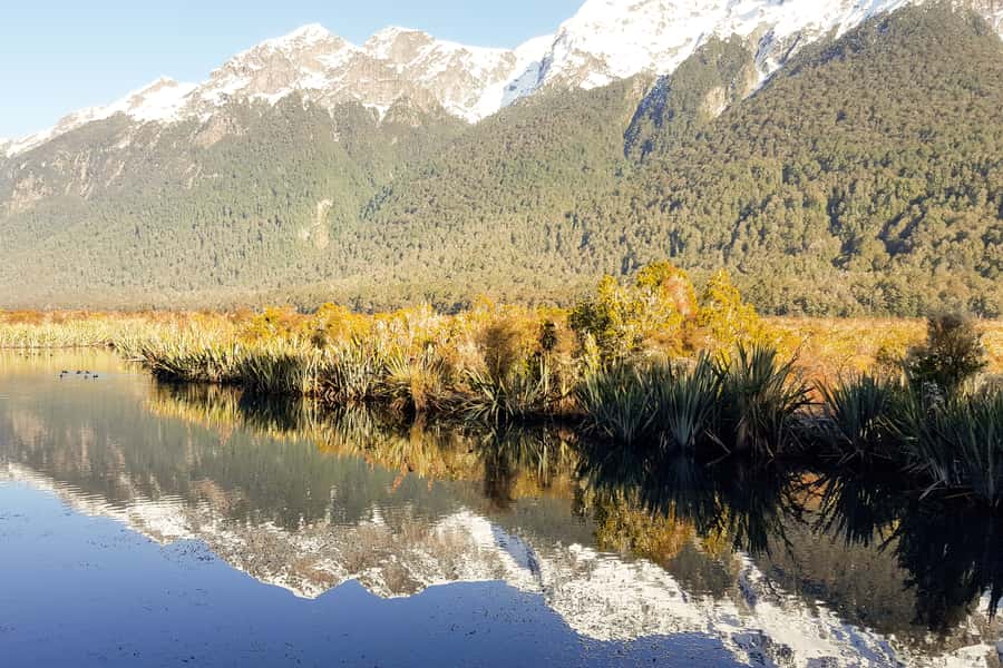 From Queenstown: Milford Sound Premium Day Tour and Cruise - Boarding the 1.75-hour Milford Sound cruise