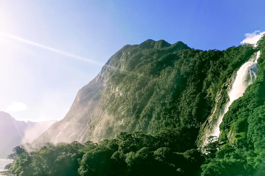 From Queenstown: Milford Sound Premium Day Tour and Cruise - Waterfalls, seals, and the open sea