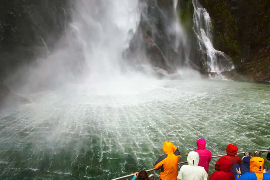 From Queenstown: Milford Sound Premium Day Tour and Cruise - What $170 buys you