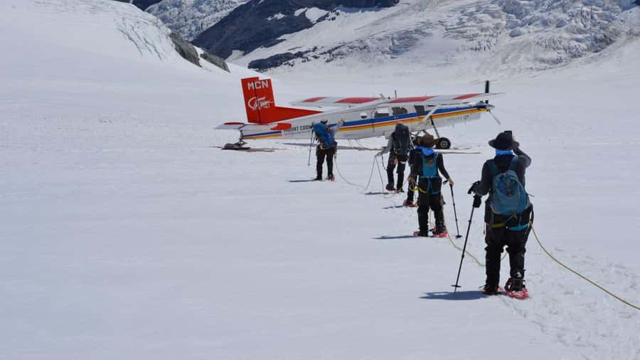 From Queenstown: Mount Cook Heli-Hike and Bus Tour Combo - A practical food break in Omarama