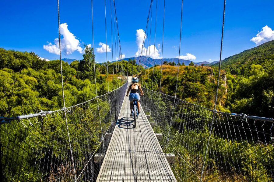From Queenstown: 'Valley of the Vines' Wine and Bike Tour - From Queenstown to gold-mining Arrowtown