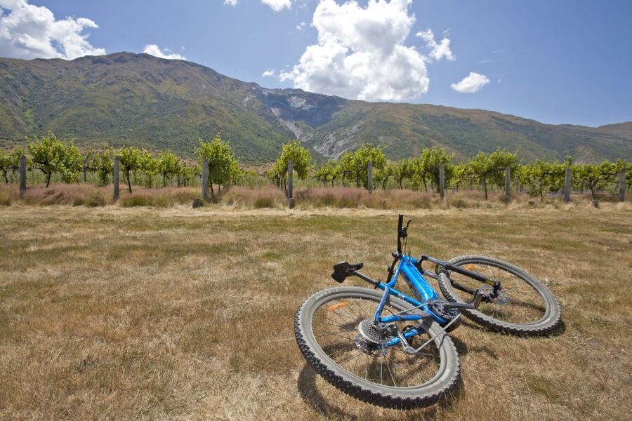 From Queenstown: 'Valley of the Vines' Wine and Bike Tour - Mount Rosa, Kinross, and Gibbston wine country
