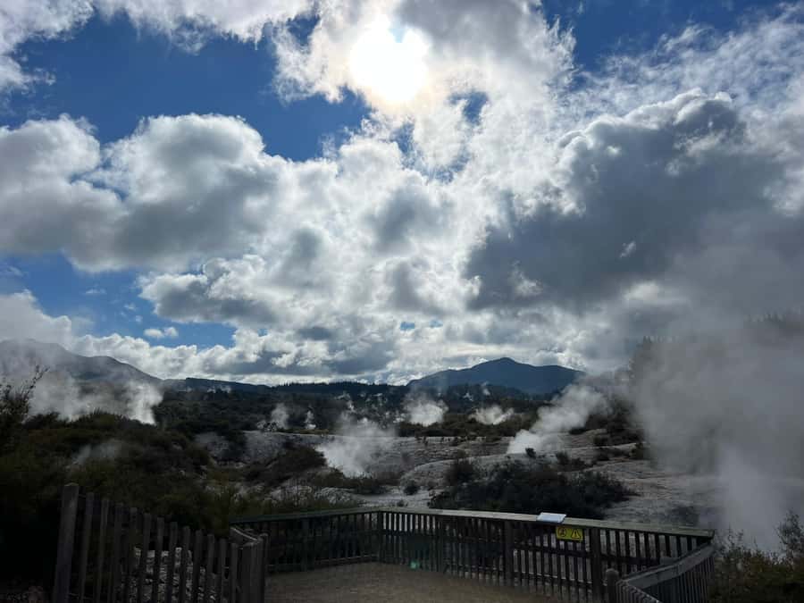 From Rotorua: WAI-O-TAPU Geothermal Wonderland Half-Day Tour - Key points at a glance