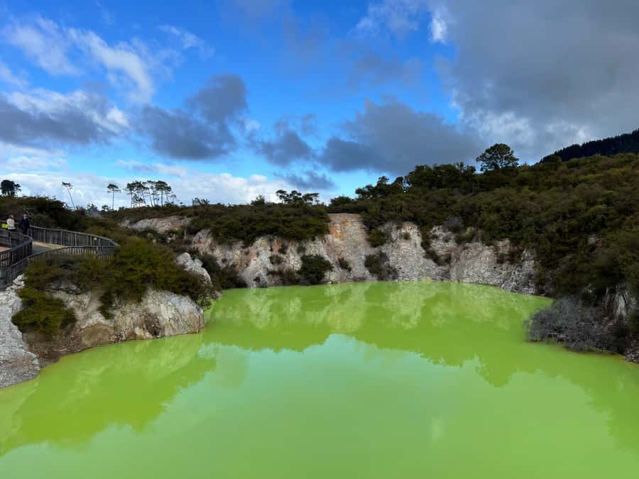 From Rotorua: WAI-O-TAPU Geothermal Wonderland Half-Day Tour - Why this four-hour Rotorua tour works well