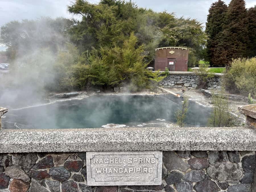 From Rotorua: WAI-O-TAPU Geothermal Wonderland Half-Day Tour - The Wai-O-Tapu Mud Pool, thick, noisy, and hard to forget