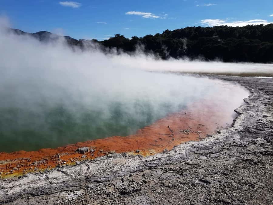 From Rotorua: Wai-O-Tapu, Waimangu and Te Puia Full-Day Tour - Why this Rotorua day works so well
