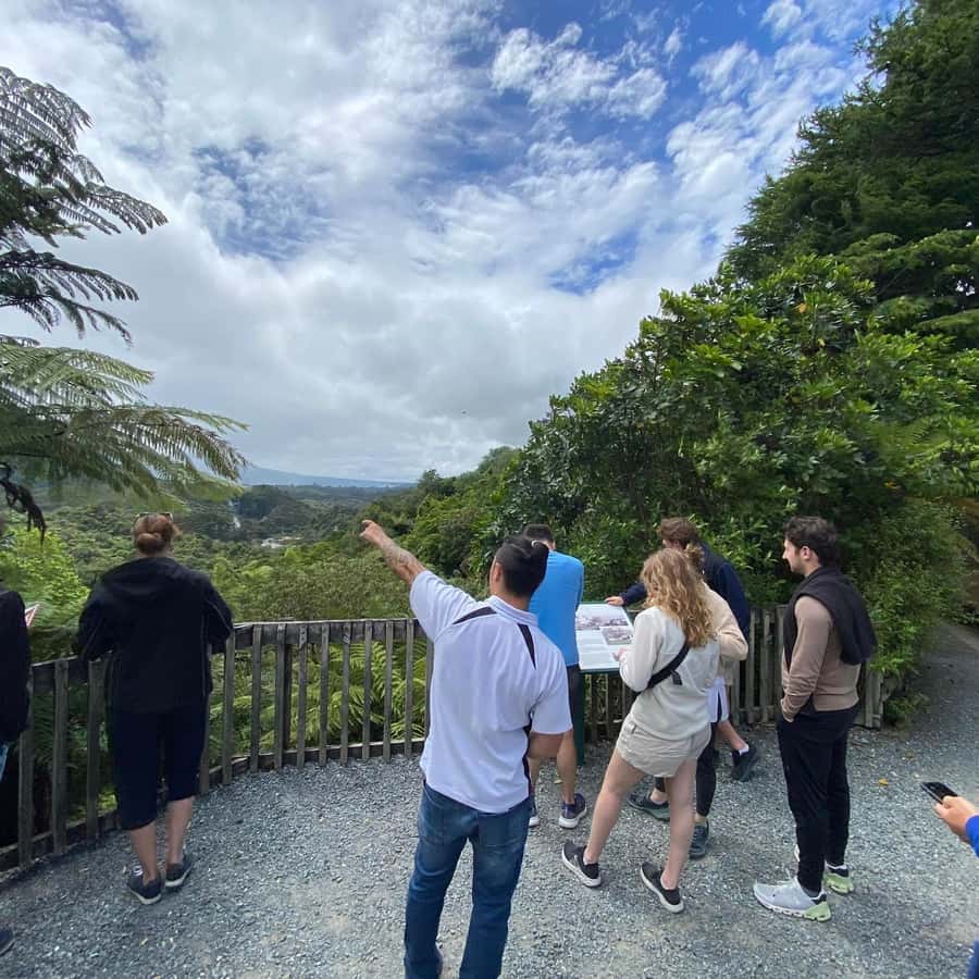 From Rotorua: Wai-O-Tapu, Waimangu and Te Puia Full-Day Tour - Lady Knox Geyser at 10:15 AM