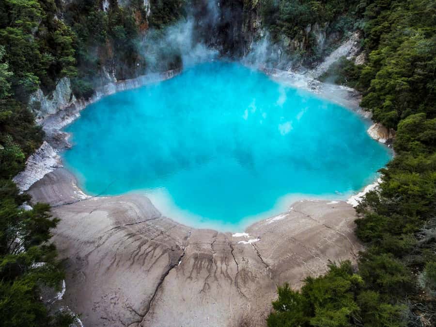 From Rotorua: Wai-O-Tapu, Waimangu and Te Puia Full-Day Tour - The guides make the difference