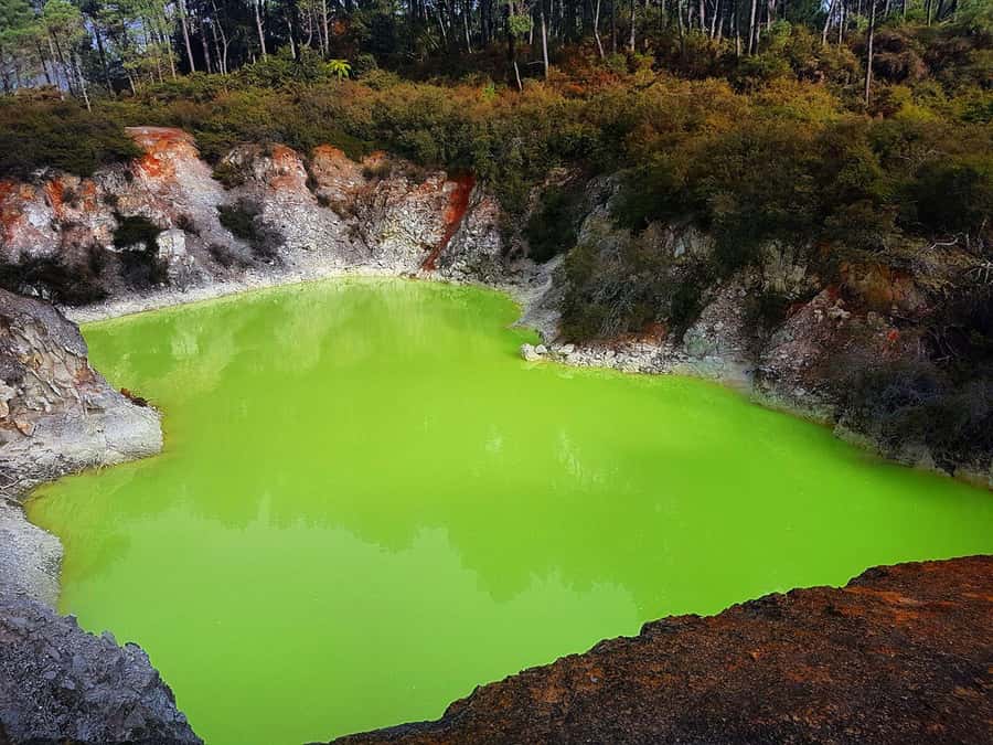 From Rotorua: Wai-O-Tapu, Waimangu and Te Puia Full-Day Tour - What to pack and how to handle the day