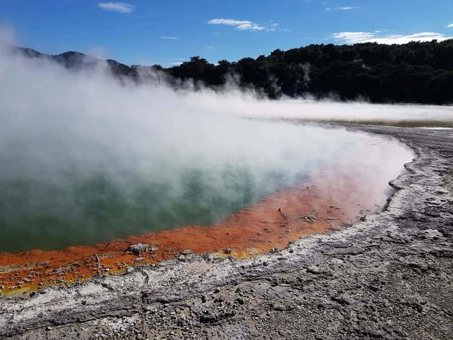 From Rotorua: Wai O Tapu & Waimangu Eco Thermal Morning Tour - Starting from central Rotorua between 8:00 and 8:30 AM