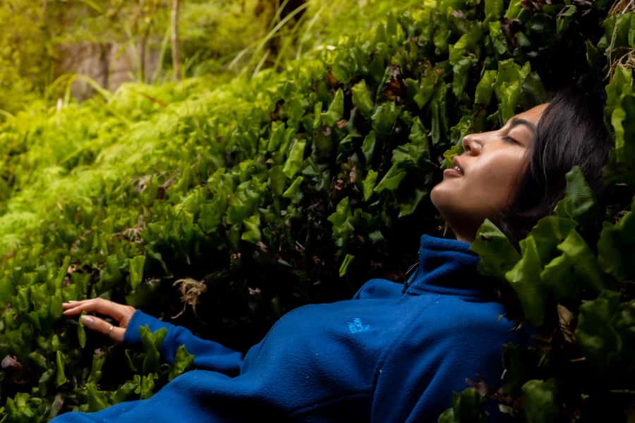 From Rotorua: Whirinaki Rainforest Guided Cultural Tour - Listening for birds and forest life