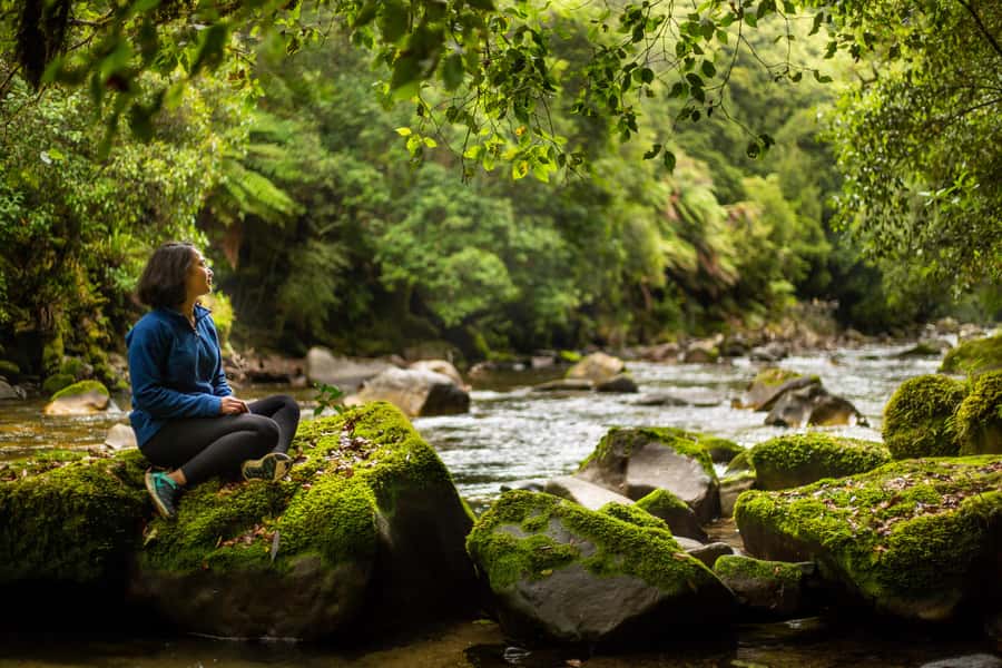 From Rotorua: Whirinaki Rainforest Guided Cultural Tour - Te Ana a Tokowaru and the older story of Aotearoa