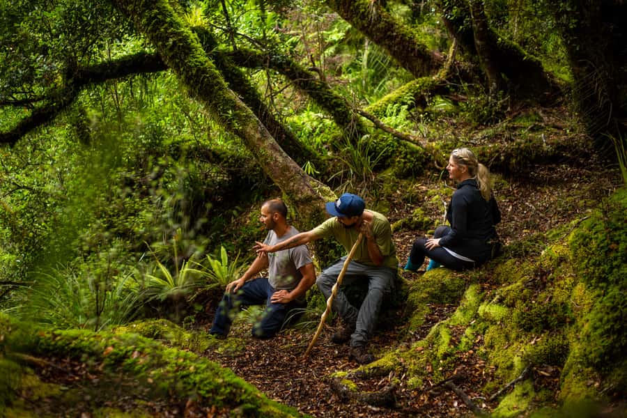 From Rotorua: Whirinaki Rainforest Guided Cultural Tour - Who will enjoy this day most