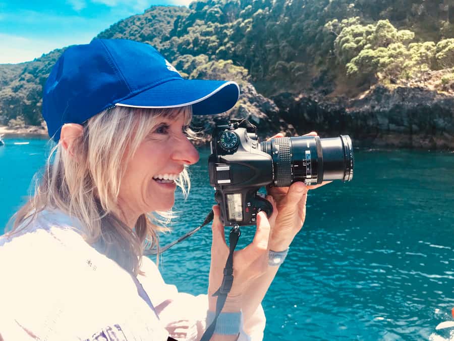 From Tauranga: Dolphin and Wildlife Cruise - Key points before you book