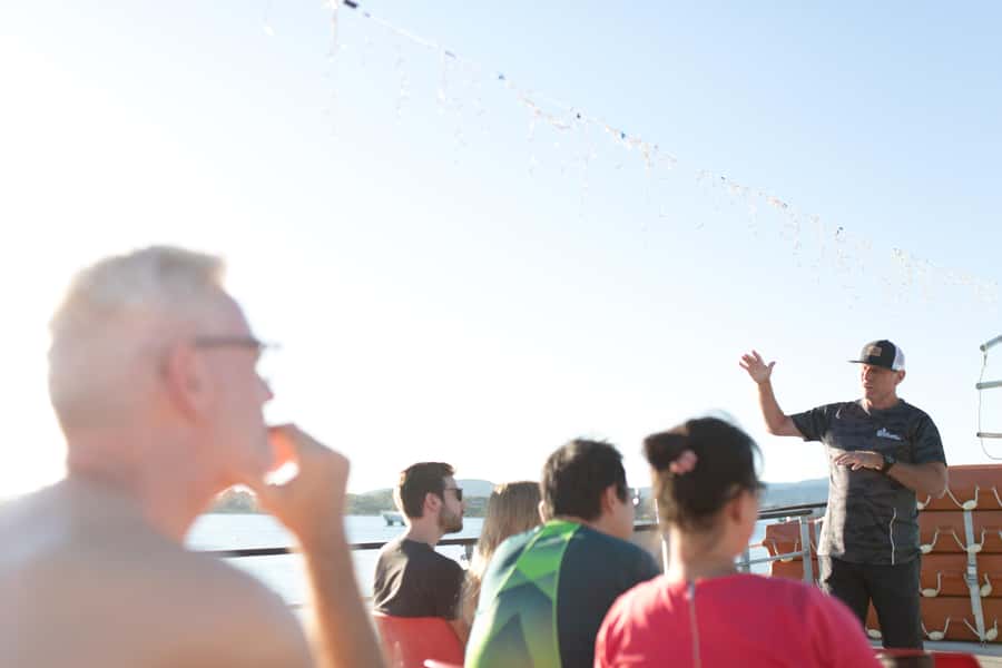 From Tauranga: Dolphin and Wildlife Cruise - The honest tradeoff: wildlife is wild