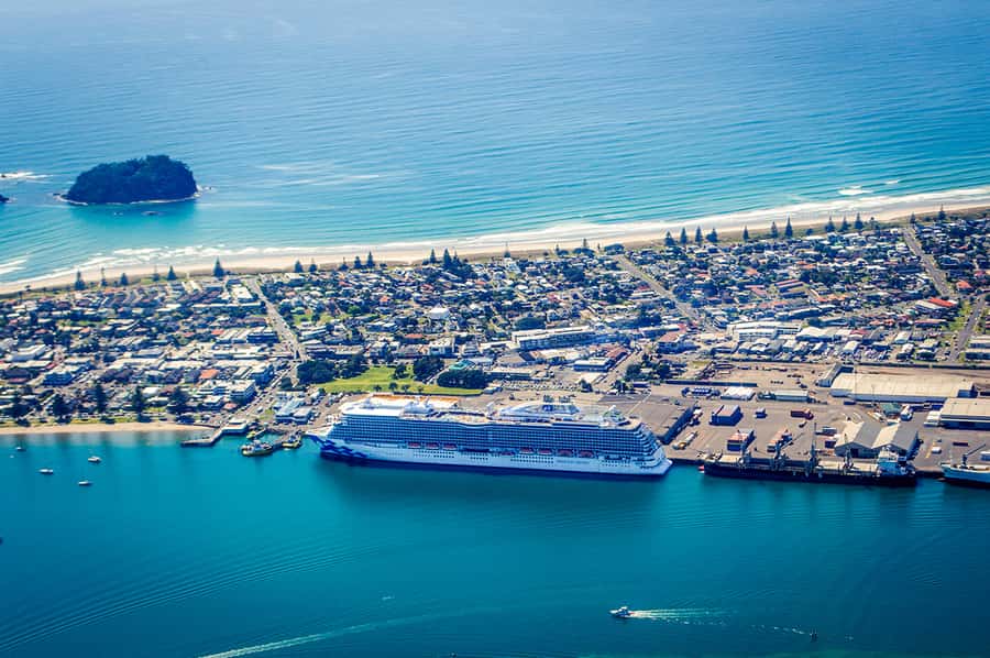 From Tauranga: Skydive over Mount Maunganui - Who will get the most from this experience