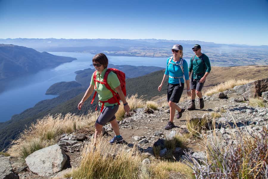 From Te Anau: Full Day Kepler Track Guided Heli-Hike - Arriving at Lake Te Anau through ferns and native plants